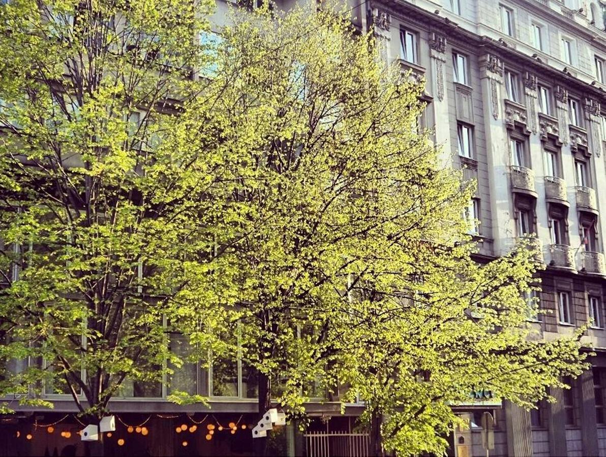 Supreme Palace Cube Belgrad Zewnętrze zdjęcie
